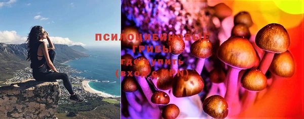 крисы Абинск