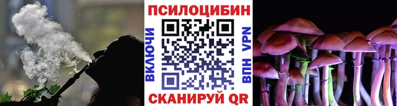 цена   Судогда  Галлюциногенные грибы Cubensis 